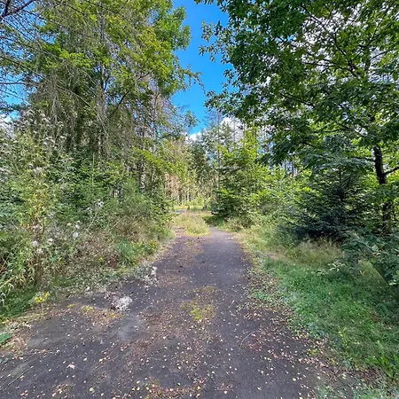 Wood Casa de Férias Brandscheid (Bitburg-Prum)