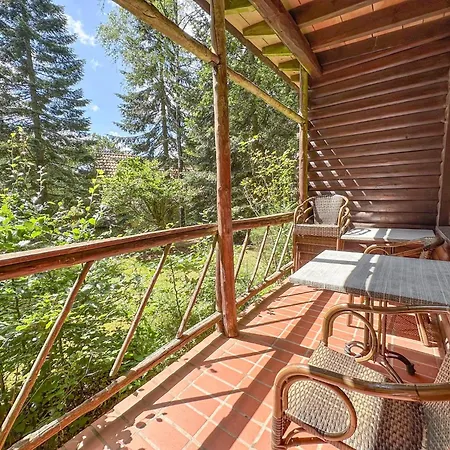 Wood Brandscheid (Bitburg-Prum)