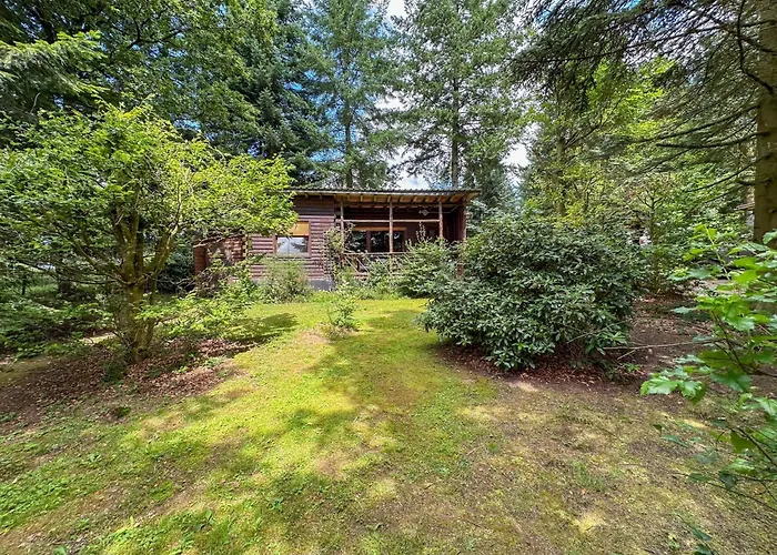 Wood בית נופש