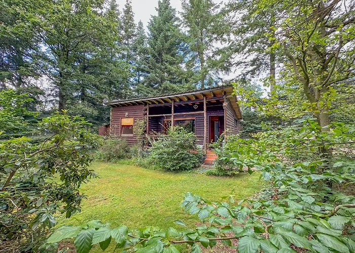 בית נופש Wood Brandscheid (Bitburg-Prum)